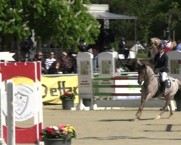 Reitturnier Olfen-Vinnum 2024