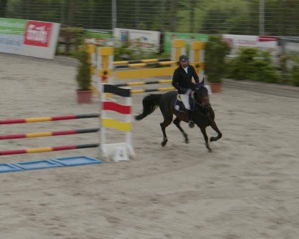 Reitturnier Monheim - Gut Blee 2024