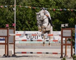 jumper Quercus vd Mespel (Zangersheide riding horse, 2007, from Quite Capitol)