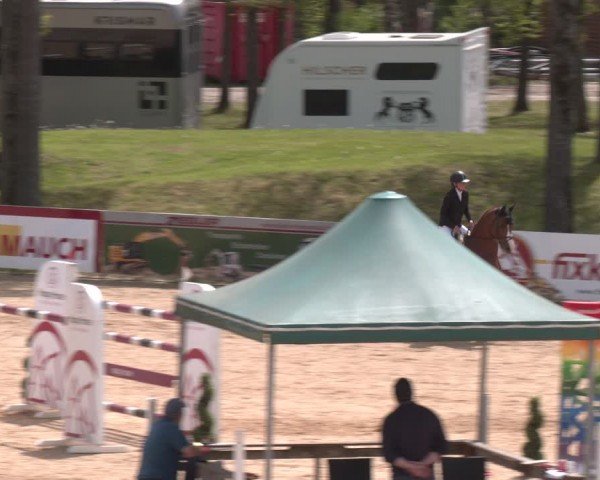 FEI Springturnier Stadl Paura 2024