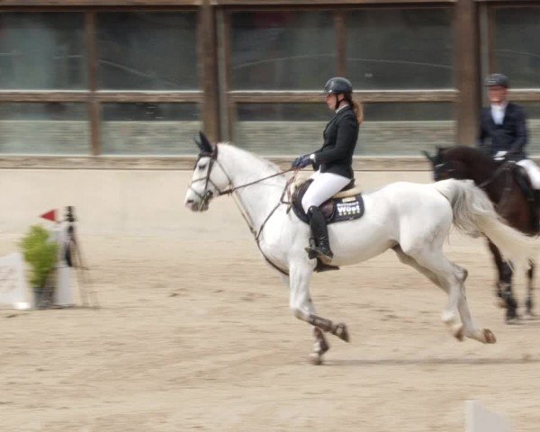 Reitturnier Großostheim/Ufr. 2024
