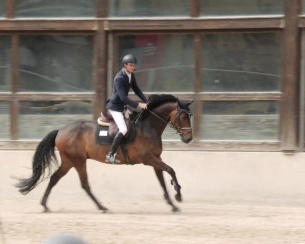 Reitturnier Großostheim/Ufr. 2024