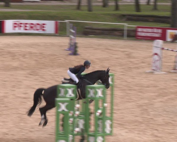 FEI Springturnier Stadl Paura 2024