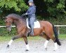 dressage horse Genaro Royale M (Sachse, 2002, from Grosso Z)