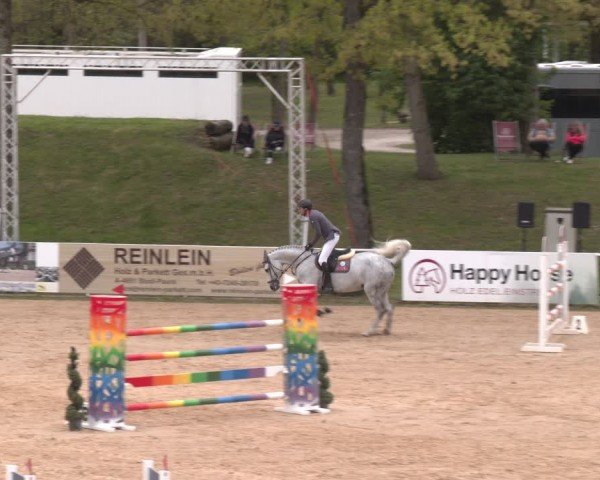 FEI Springturnier Stadl Paura 2024