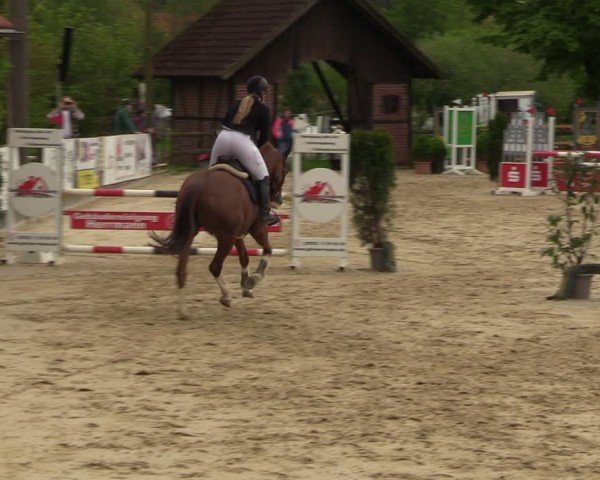 Reitturnier Nienberge 2024