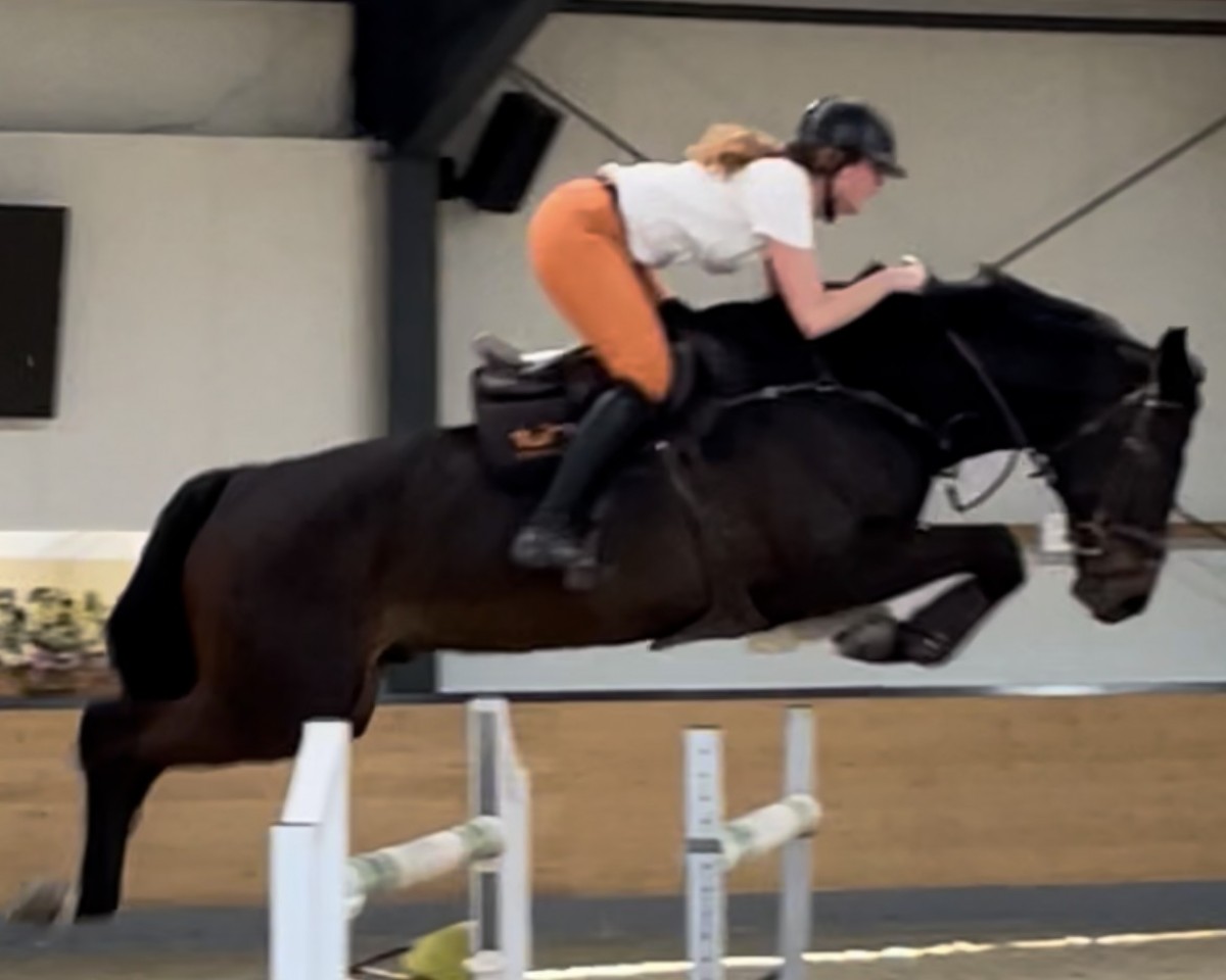 Springpferd Sma Concadro PS (Oldenburger Springpferd, 2018, von Conthargos)