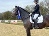 dressage horse Lamborghini 111 (Rhinelander, 2014, from Like a Diamond NRW)