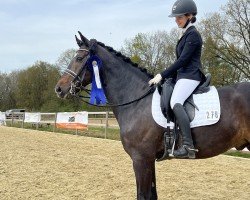 dressage horse Lamborghini 111 (Rhinelander, 2014, from Like a Diamond NRW)