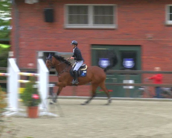 Reitturnier Heiden 2024