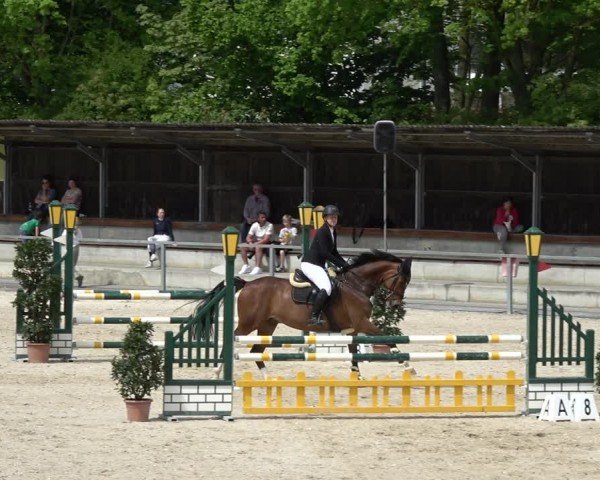 Reitturnier Ingolstadt-Hagau/Obb. 2024