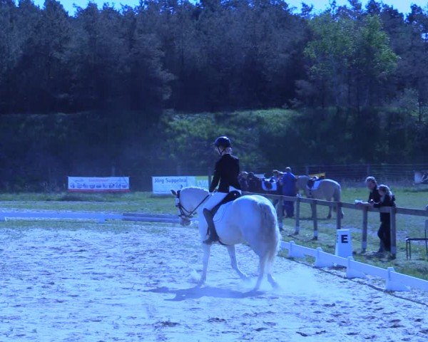 Reitturnier Colbitz 2024