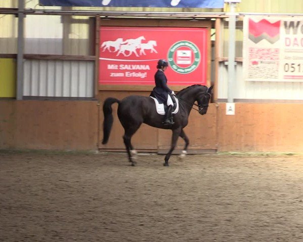 Reitturnier Schlieckau 2024