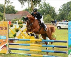 dressage horse Dablin Dubbeldam (German Riding Pony, 2009, from Reitland's Du oder Keiner)