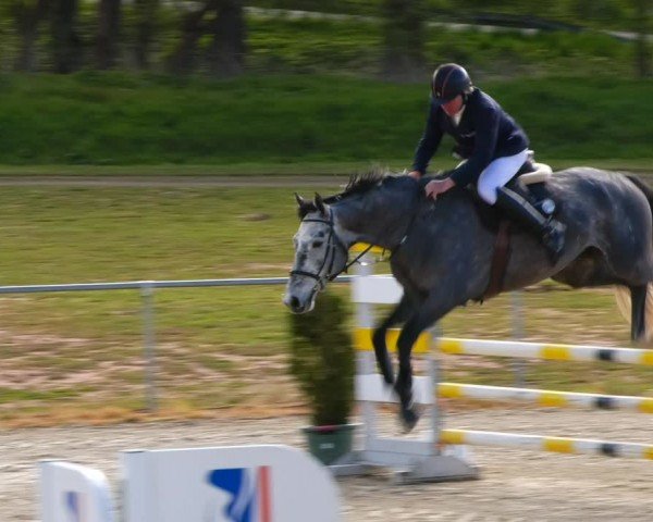 Reitturnier Bad Liebenstein/Sorga 2024
