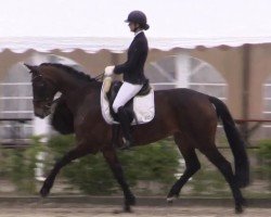 dressage horse Vaiana 26 (Westphalian, 2018, from Vito Corleone S)