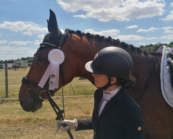 dressage horse Fleur Delacour 23 (Westphalian, 2017, from Flashdance)