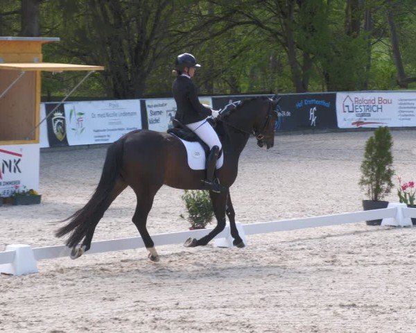 Reitturnier Karlsfeld/Obb. 2024