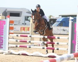 jumper Kaiser Karl Ag (German Riding Pony, 2009, from Kantje's Ronaldo)