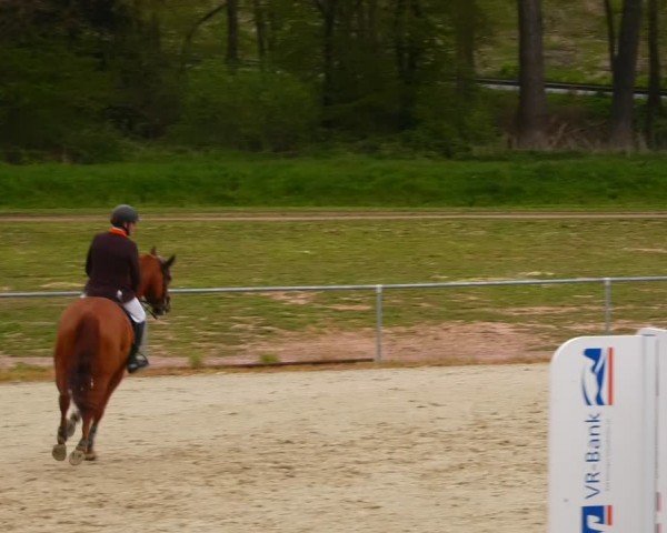 Reitturnier Bad Liebenstein/Sorga 2024