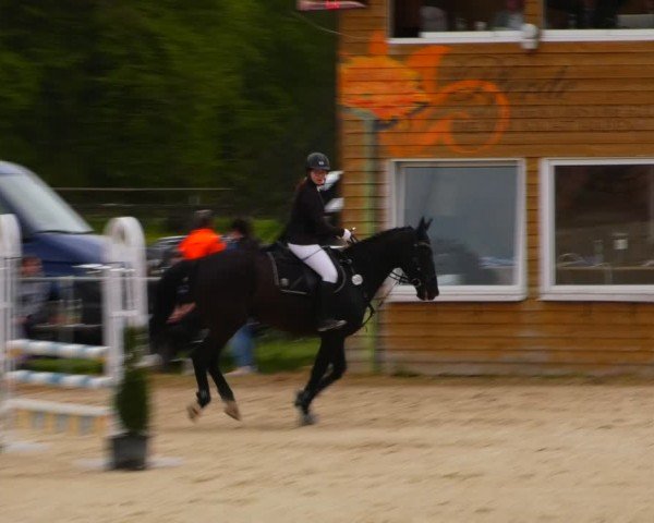 Reitturnier Bad Liebenstein/Sorga 2024