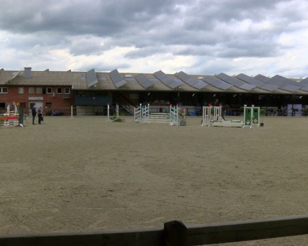 Reitturnier Heiden 2024
