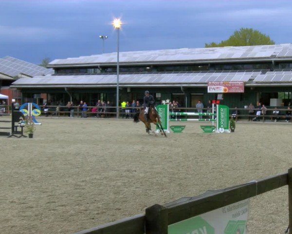 Reitturnier Heiden 2024