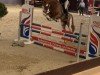 jumper Zippo de Luxe (German Riding Pony, 2019, from Nilantshoeve's Zippo)