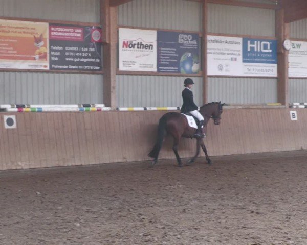 Reitturnier Uder, Reitanlage Kobold 2024