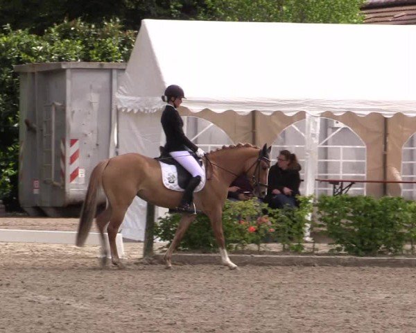 Reitturnier Olfen-Vinnum 2024