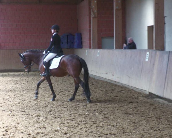 Reitturnier Uder, Reitanlage Kobold 2024