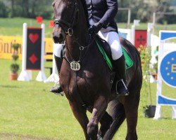 broodmare Zippels Candida (Holsteiner, 2010, from Cosido)