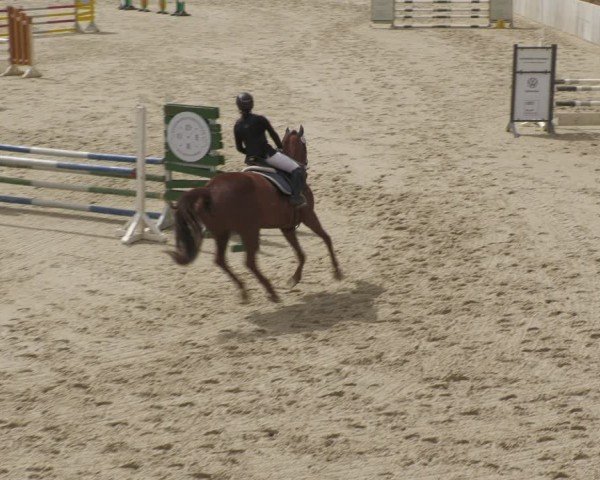Reitturnier Uder, Reitanlage Kobold 2024