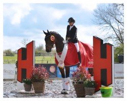 dressage horse Bellonii (Hanoverian, 2019, from Birmingham)