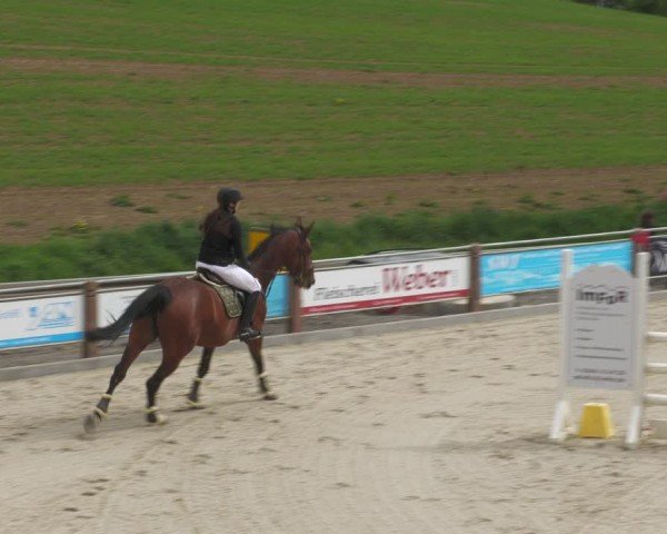 Reitturnier Uder, Reitanlage Kobold 2024