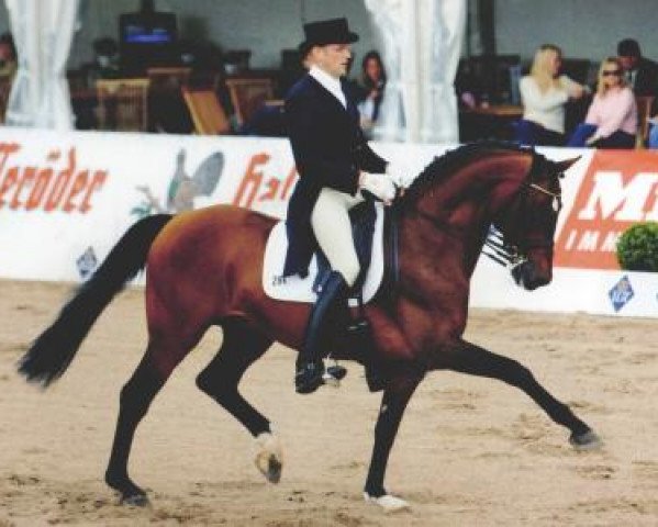 dressage horse Loran (Holsteiner, 1990, from Lord 1134)