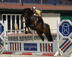 dressage horse Heimzauber (Trakehner, 2007, from Tuareg)