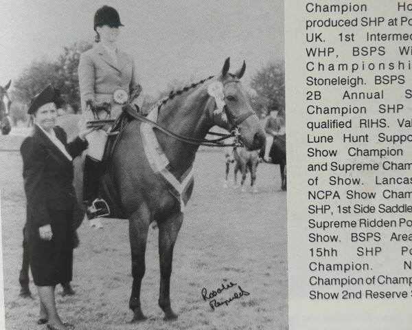 Pferd St. Lawrence Tur Tan (British Riding Pony,  , von Piran Meteor)