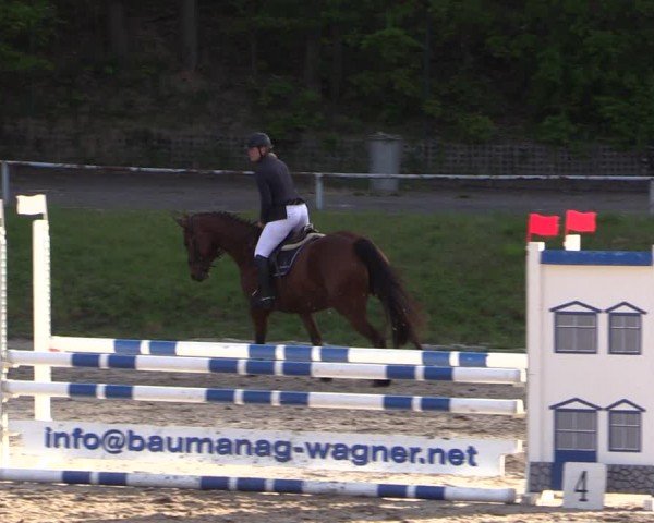 Reitturnier Lgl.-Oberhain, B95 2024