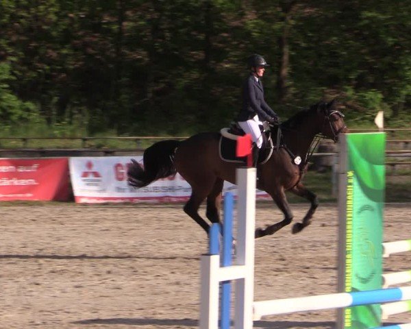 Reitturnier Lgl.-Oberhain, B95 2024