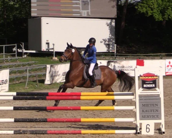 Reitturnier Lgl.-Oberhain, B95 2024