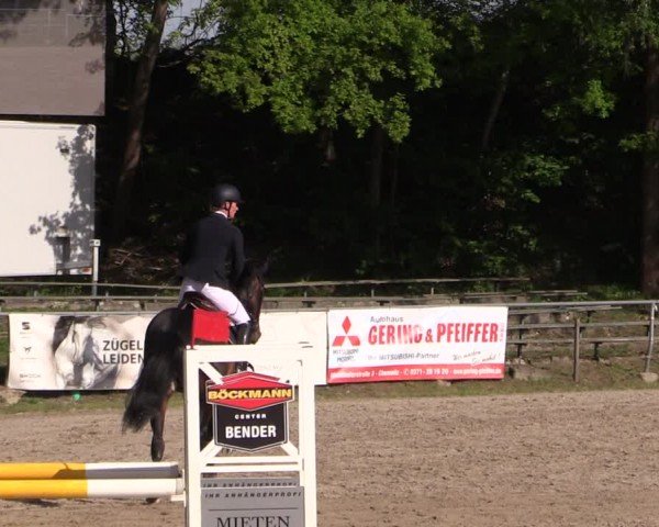 Reitturnier Lgl.-Oberhain, B95 2024