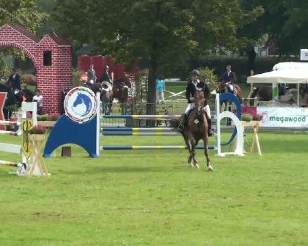 1. ASCANIA-Pferdefestival