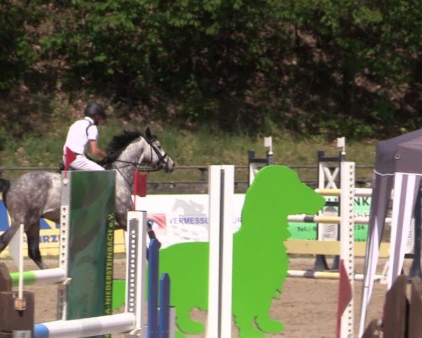 Reitturnier Lgl.-Oberhain, B95 2024