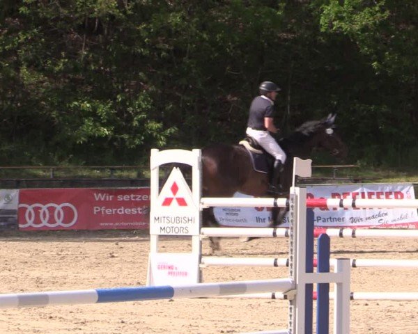 Reitturnier Lgl.-Oberhain, B95 2024