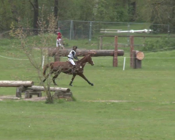 CCI2* Luhmühlen 2024