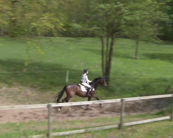 CCI2* Luhmühlen 2024