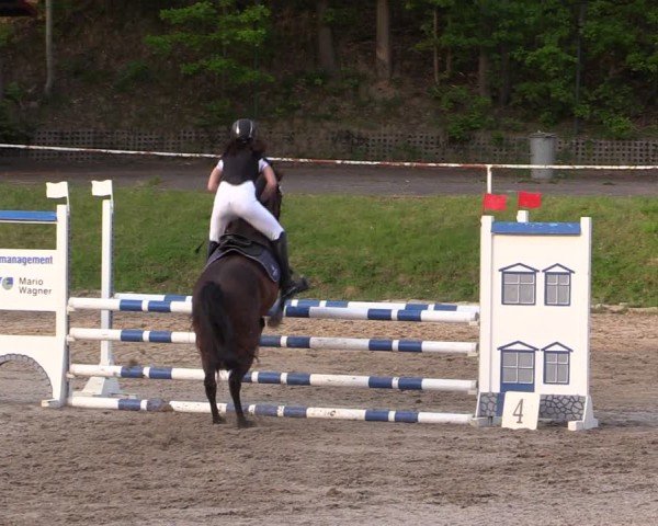Reitturnier Lgl.-Oberhain, B95 2024
