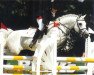 stallion Nabor (German Riding Pony, 1985, from Nantano)