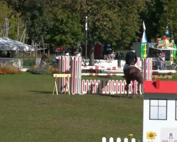 1. ASCANIA-Pferdefestival